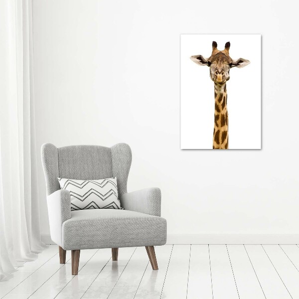 Staand foto op plexiglas Giraffe
