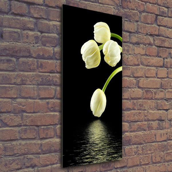 Staand foto plexiglas Witte tulpen
