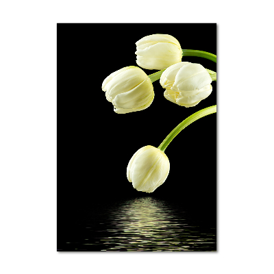 Staand foto plexiglas Witte tulpen