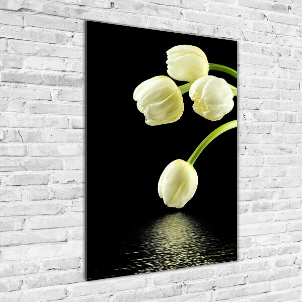 Staand foto plexiglas Witte tulpen