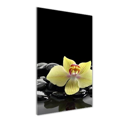 Staand foto in plexiglas Orchidee en stenen