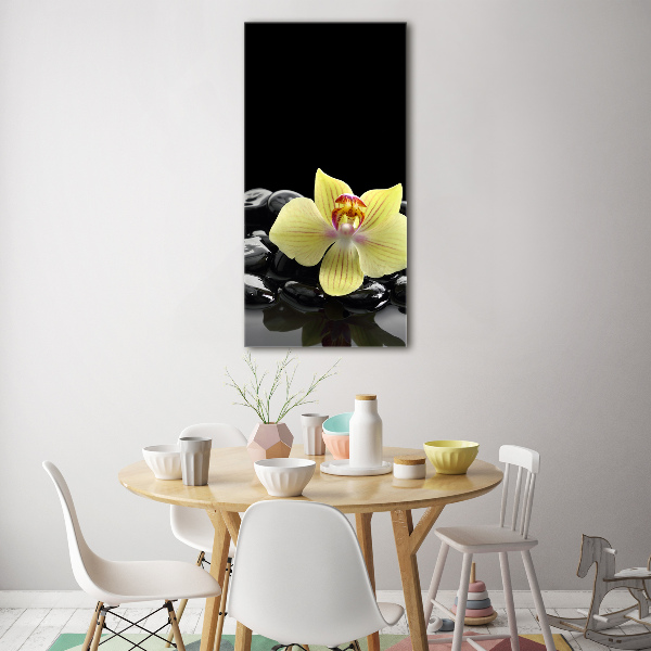Staand foto in plexiglas Orchidee en stenen