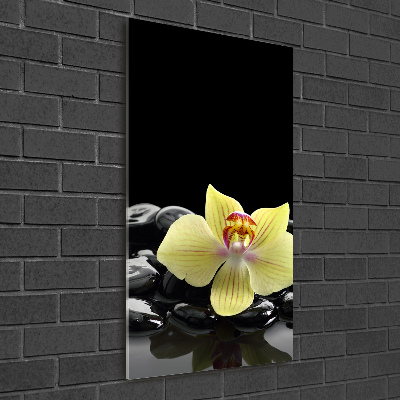 Staand foto in plexiglas Orchidee en stenen