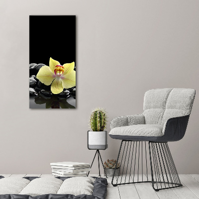 Staand foto in plexiglas Orchidee en stenen