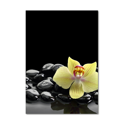 Staand foto in plexiglas Orchidee en stenen