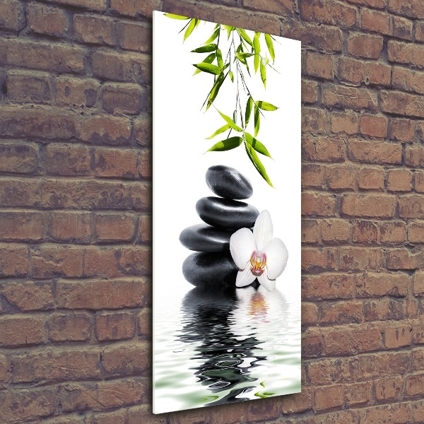 Staand plexiglas foto Orchidee en stenen