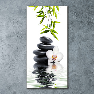 Staand plexiglas foto Orchidee en stenen