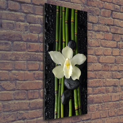 Staand foto in plexiglas Orchidee en bamboe