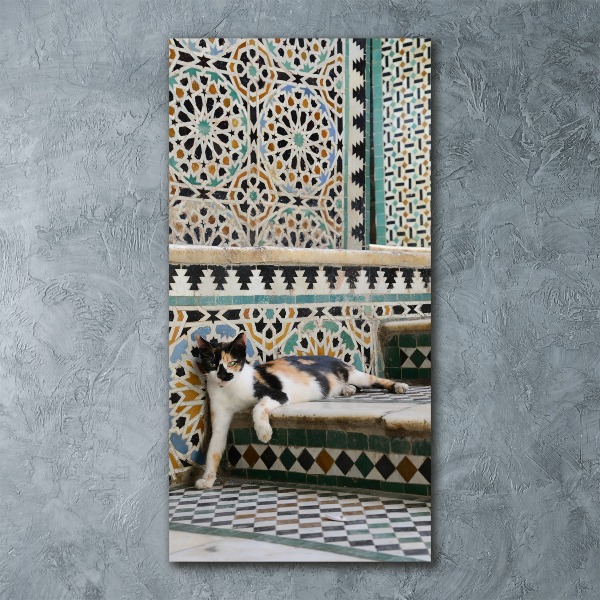 Staand plexiglas foto Een kat in Marokko