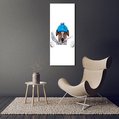 Staand plexiglas foto Zieke hond