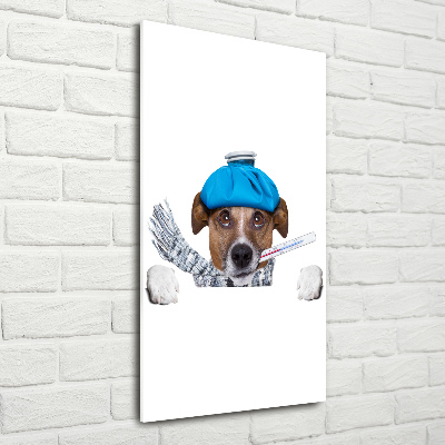 Staand plexiglas foto Zieke hond