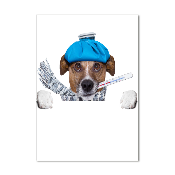 Staand plexiglas foto Zieke hond