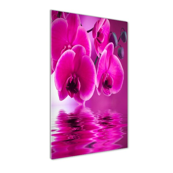 Staand foto op plexiglas Roze orchidee