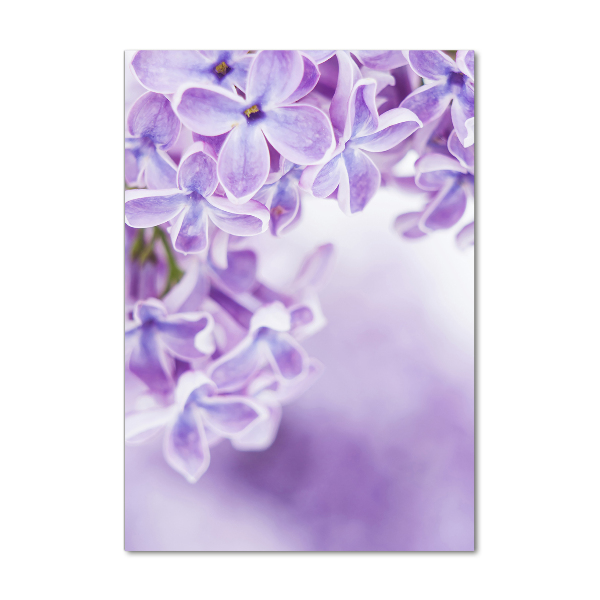 Staand plexiglas foto Seringbloemen