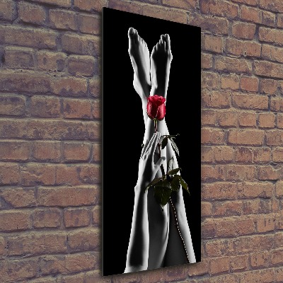 Staand foto plexiglas Roos en voeten