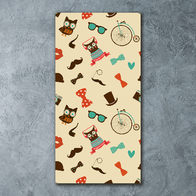 Obraz zdjęcie szkło akryl pionowy Sowa rower okulary