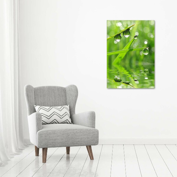 Staand foto op plexiglas grassprieten