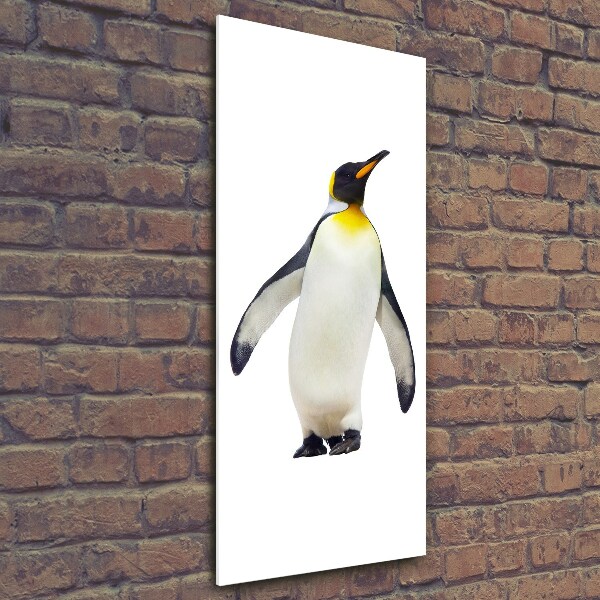 Staand foto plexiglas Pinguïn