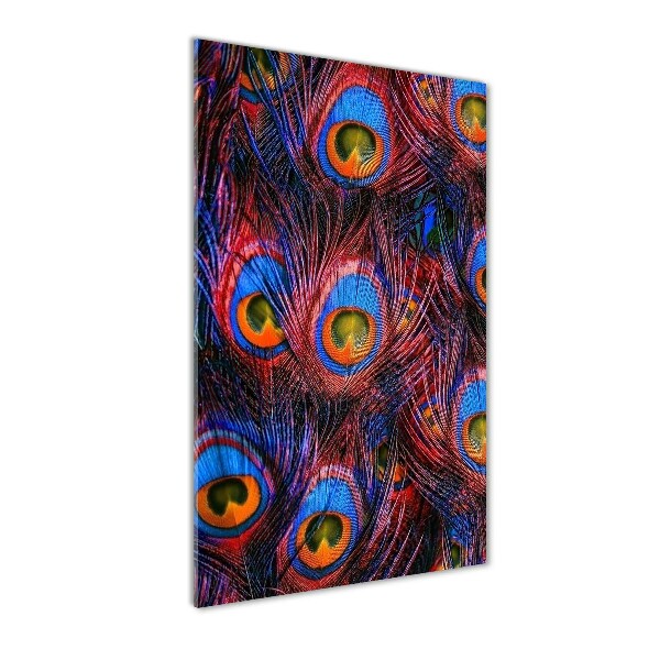 Staand foto plexiglas Pauwenveren