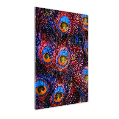 Staand foto plexiglas Pauwenveren