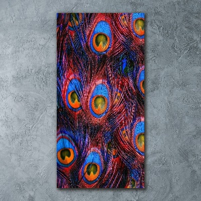 Staand foto plexiglas Pauwenveren