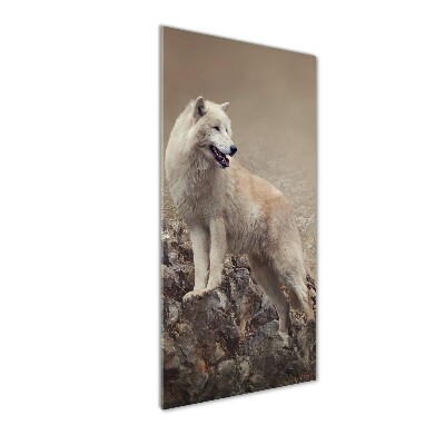 Staand foto in plexiglas Wolf op een rots