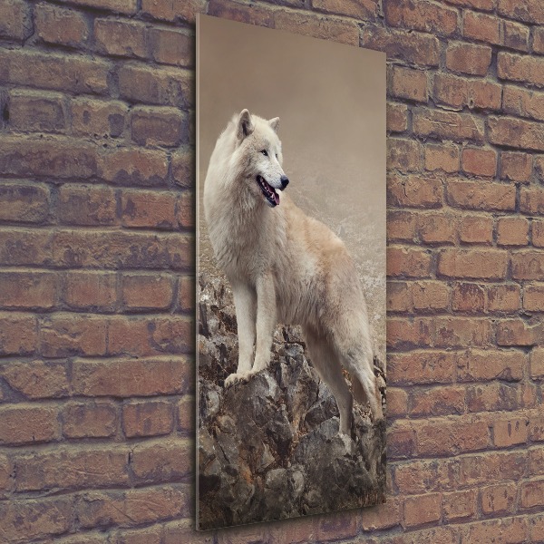 Staand foto in plexiglas Wolf op een rots
