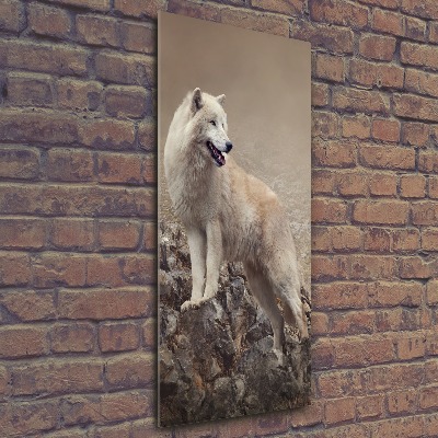 Staand foto in plexiglas Wolf op een rots