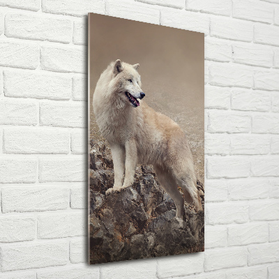 Staand foto in plexiglas Wolf op een rots
