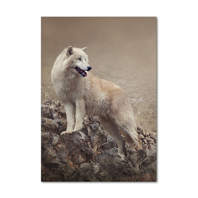 Staand foto in plexiglas Wolf op een rots