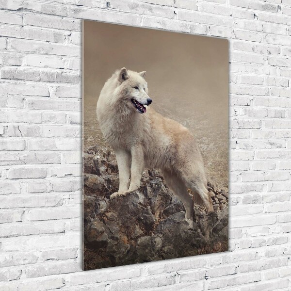 Staand foto in plexiglas Wolf op een rots