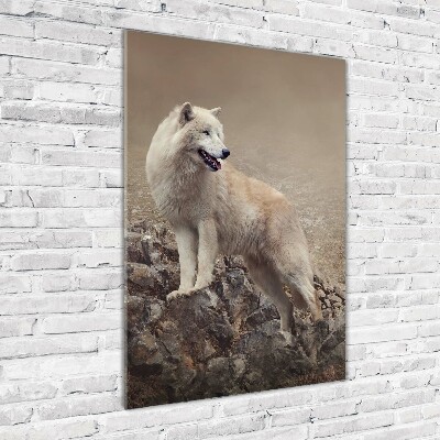 Staand foto in plexiglas Wolf op een rots