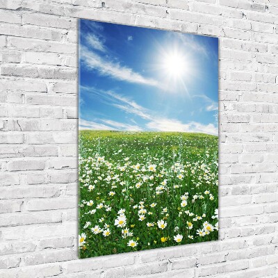 Staand foto op plexiglas Wei