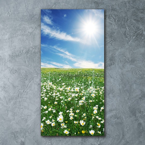 Staand foto op plexiglas Wei