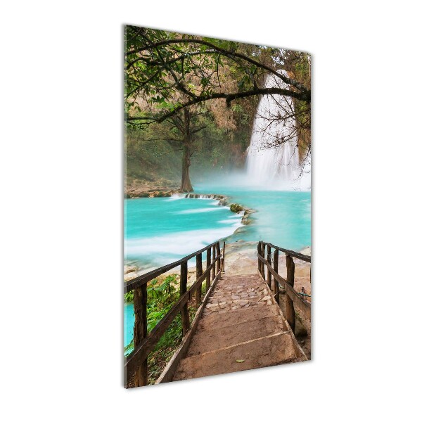 Staand foto plexiglas Waterval in Mexico
