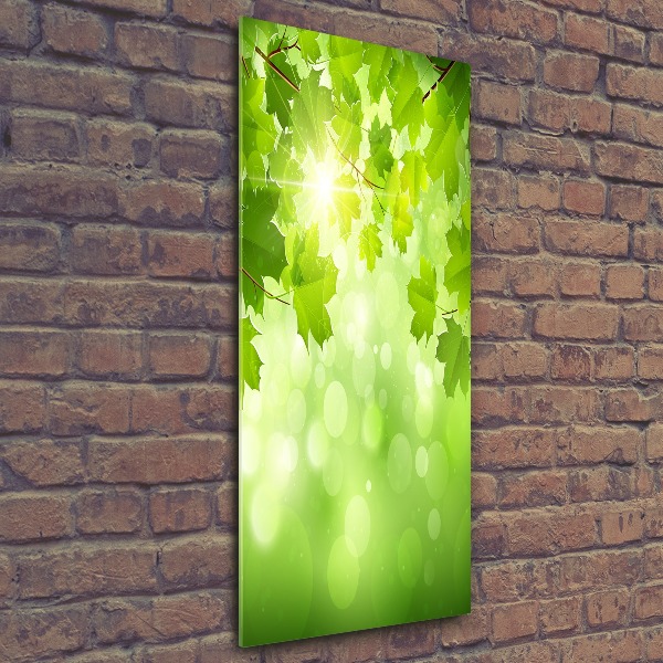 Staand foto plexiglas Groene bladeren