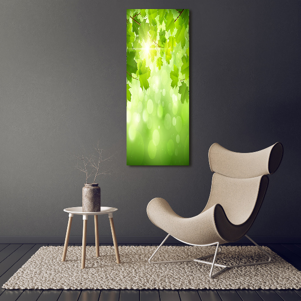 Staand foto plexiglas Groene bladeren