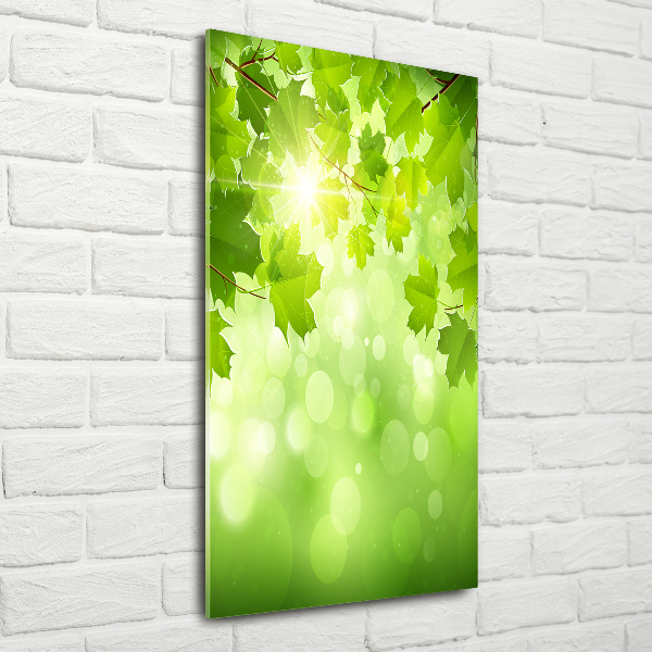 Staand foto plexiglas Groene bladeren