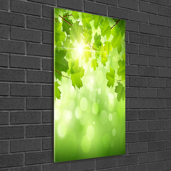 Staand foto plexiglas Groene bladeren