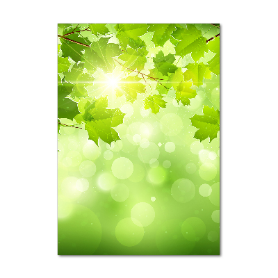 Staand foto plexiglas Groene bladeren