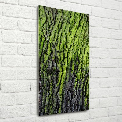 Staand plexiglas foto Boomschors