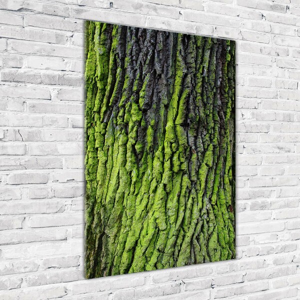 Staand plexiglas foto Boomschors