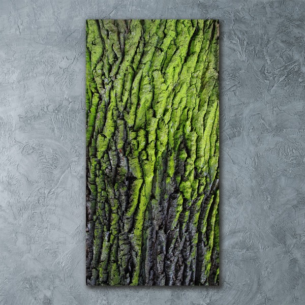 Staand plexiglas foto Boomschors