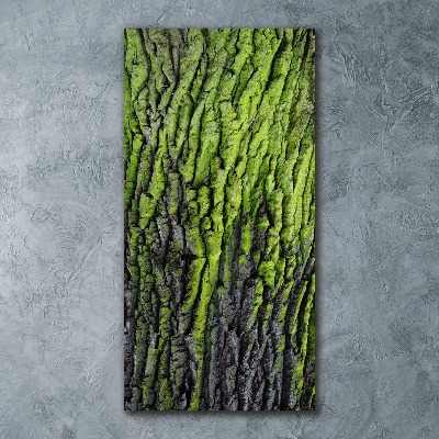 Staand plexiglas foto Boomschors