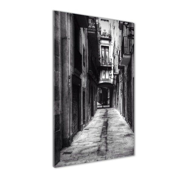 Staand foto in plexiglas Barcelona, ​​Spanje