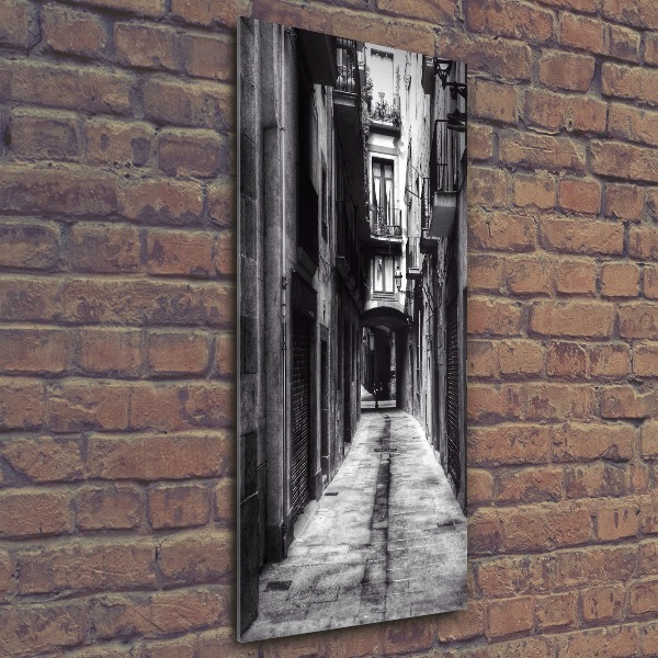 Staand foto in plexiglas Barcelona, ​​Spanje