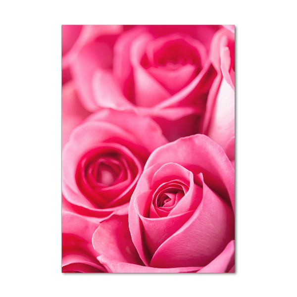 Staand foto plexiglas Roze rozen