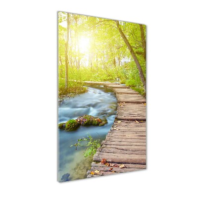 Staand plexiglas foto Pad in het bos