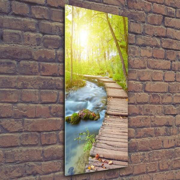 Staand plexiglas foto Pad in het bos