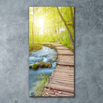 Staand plexiglas foto Pad in het bos